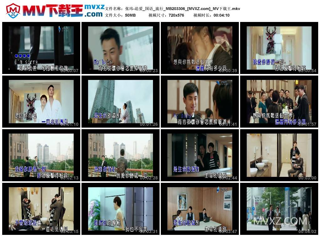 张玮-追爱_国语_流行_MB203306